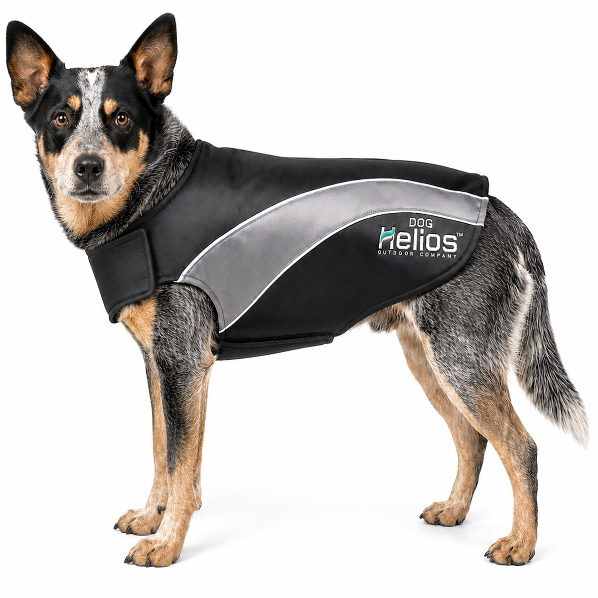 Dog Helios Octane Reflective Soft-Shell Neoprene Performance Dog Coat | HT Animal Supply