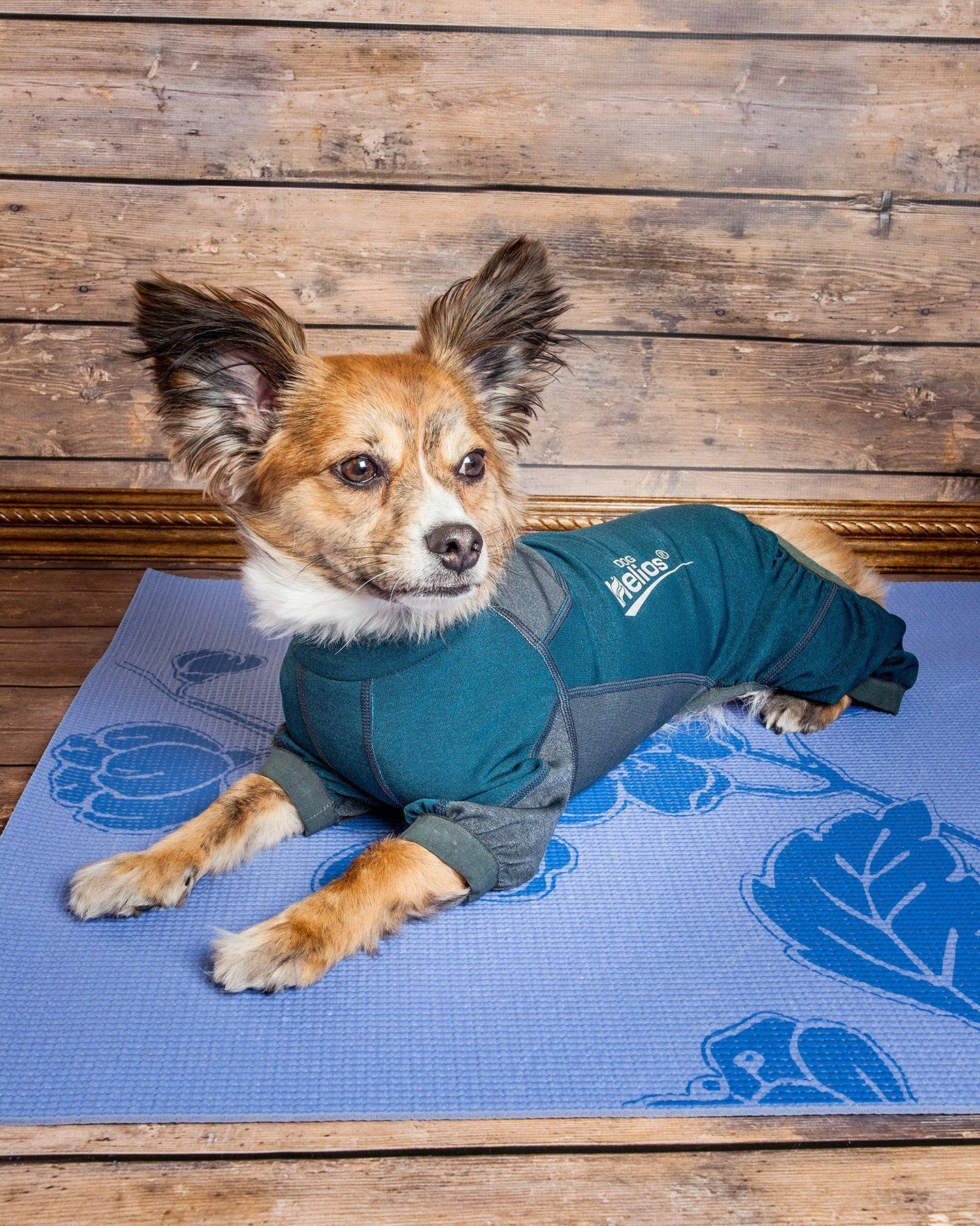 Dog Helios ® Rufflex Mediumweight 4-Way-Stretch Fitness Yoga Dog Tracksuit Jacket