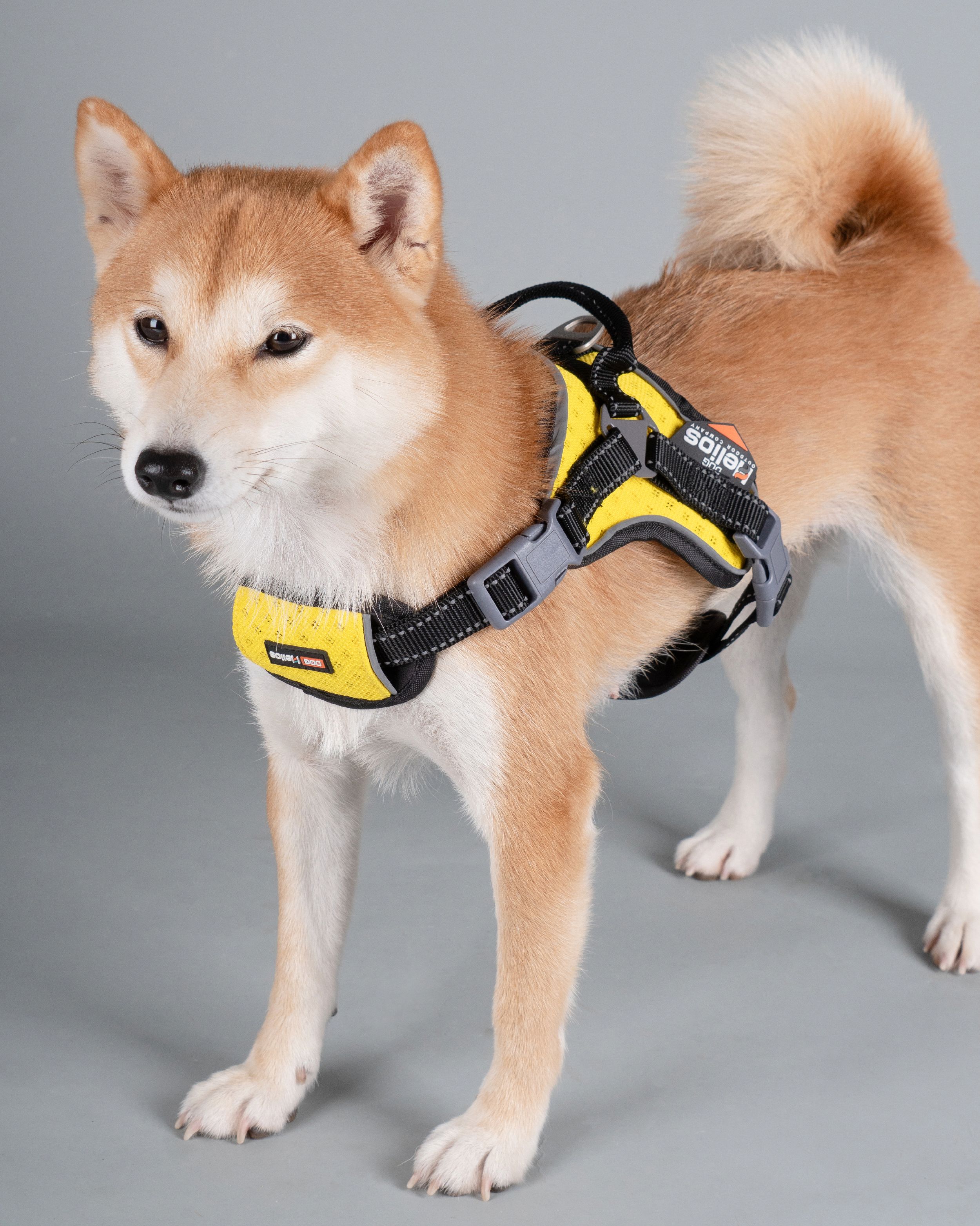 Dog Helios Scorpion Sporty High-Performance Free-Range Dog Harness