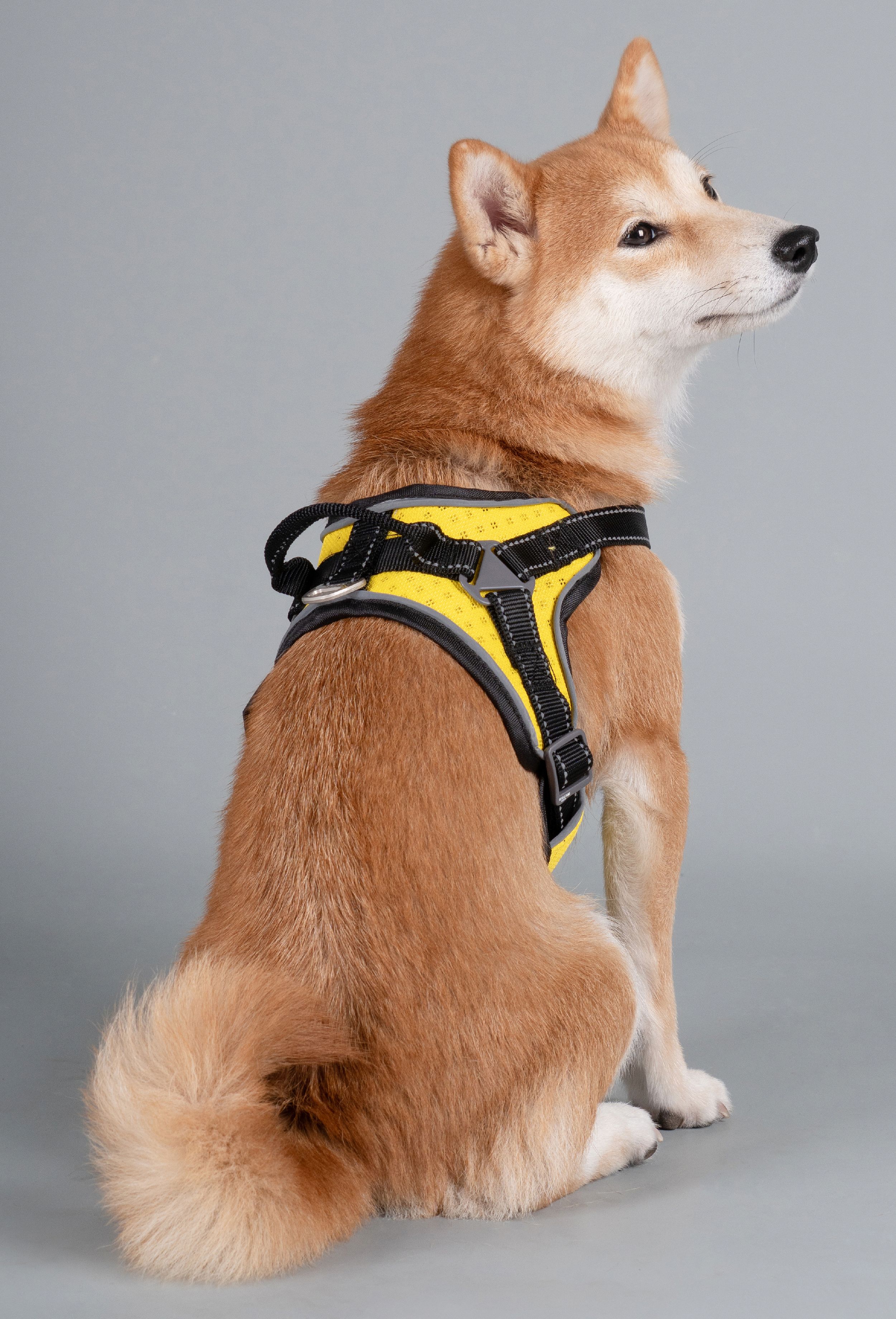 Dog Helios Scorpion Sporty High-Performance Free-Range Dog Harness