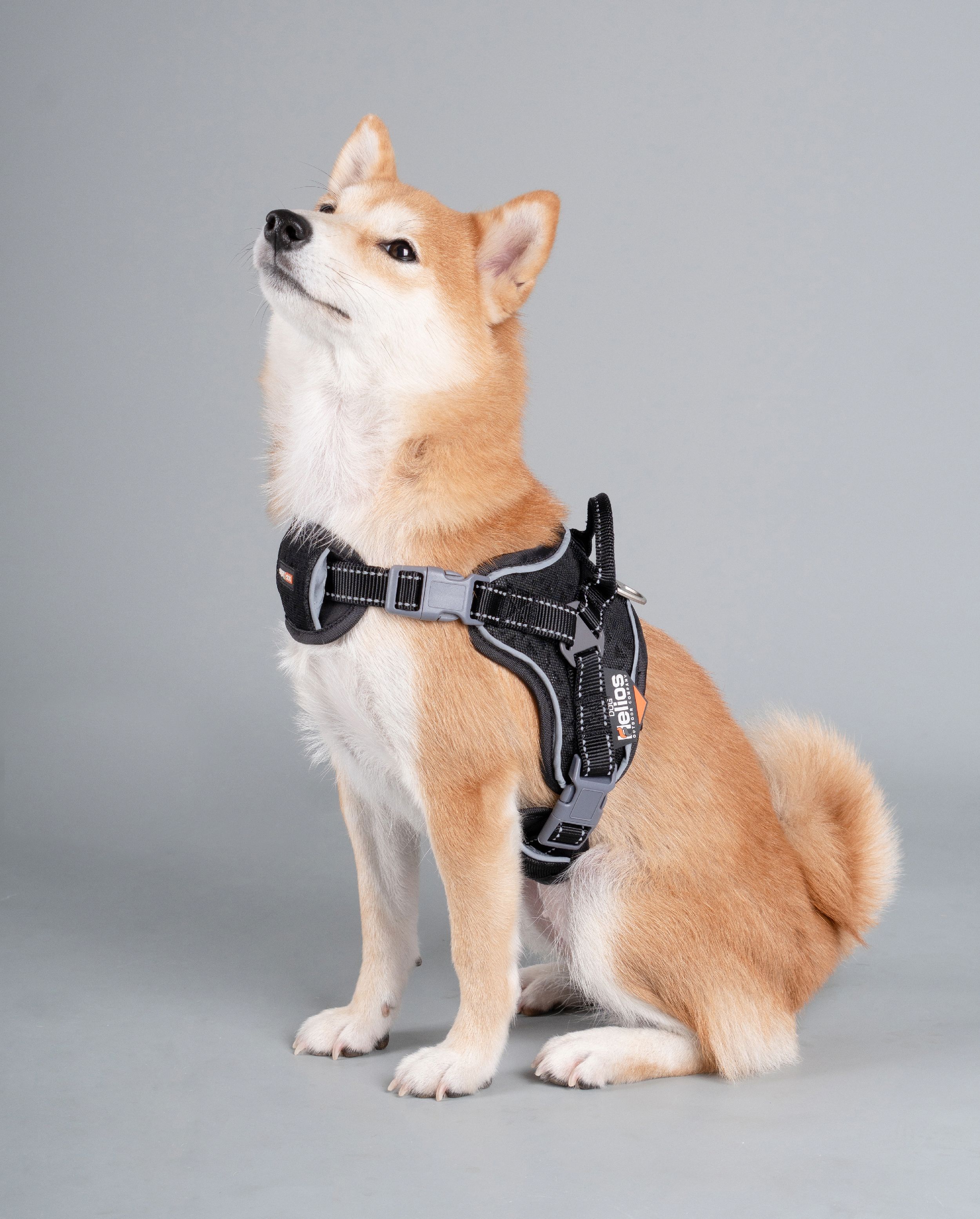 Dog Helios Scorpion Sporty High-Performance Free-Range Dog Harness