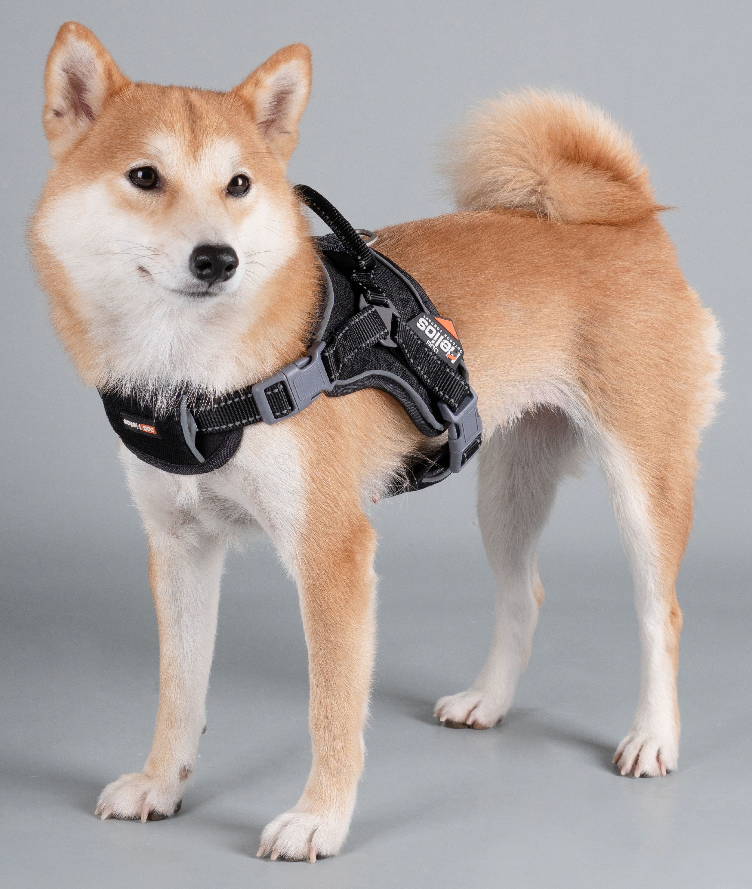 Dog Helios Scorpion Sporty High-Performance Free-Range Dog Harness