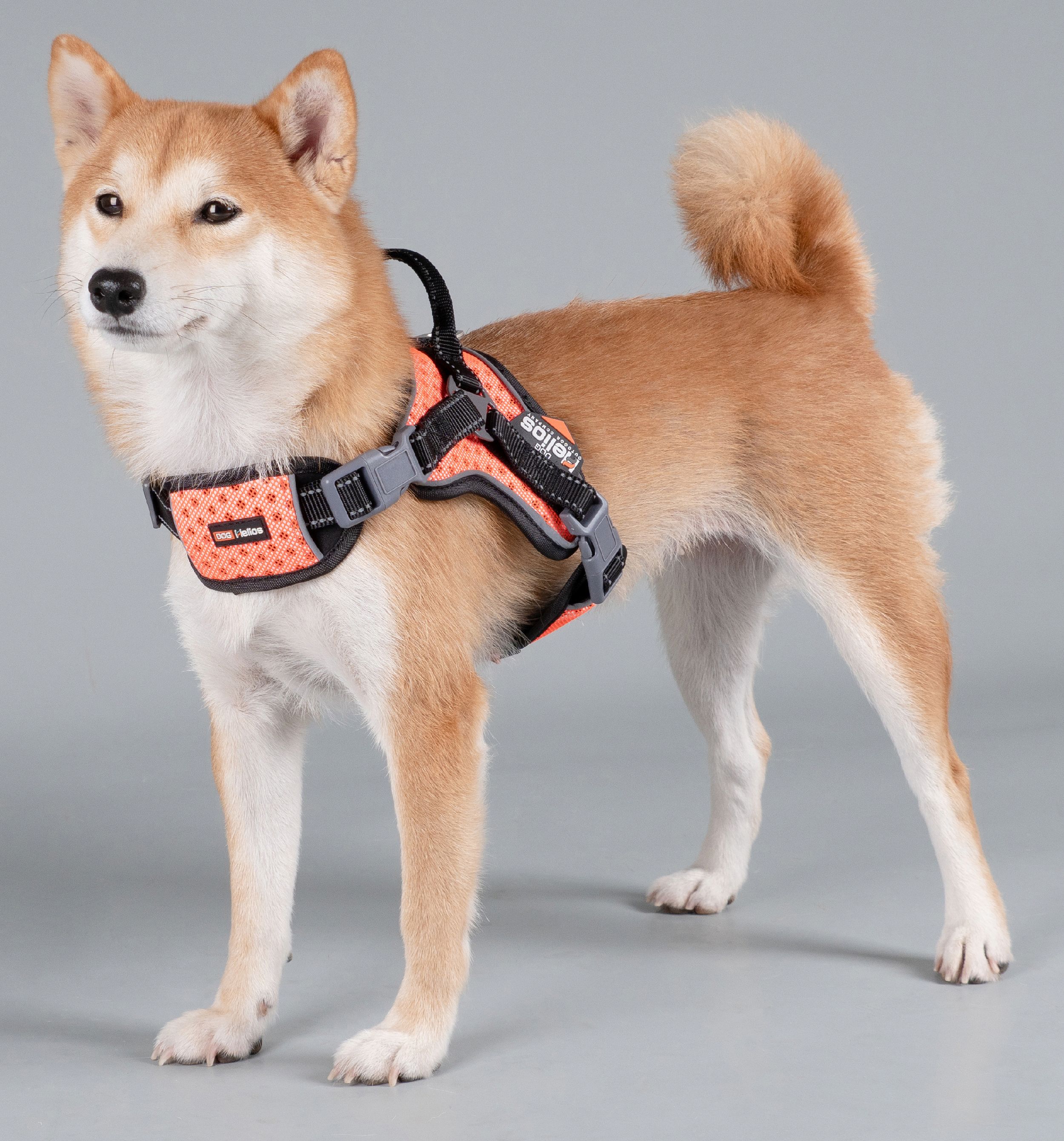 Dog Helios Scorpion Sporty High-Performance Free-Range Dog Harness
