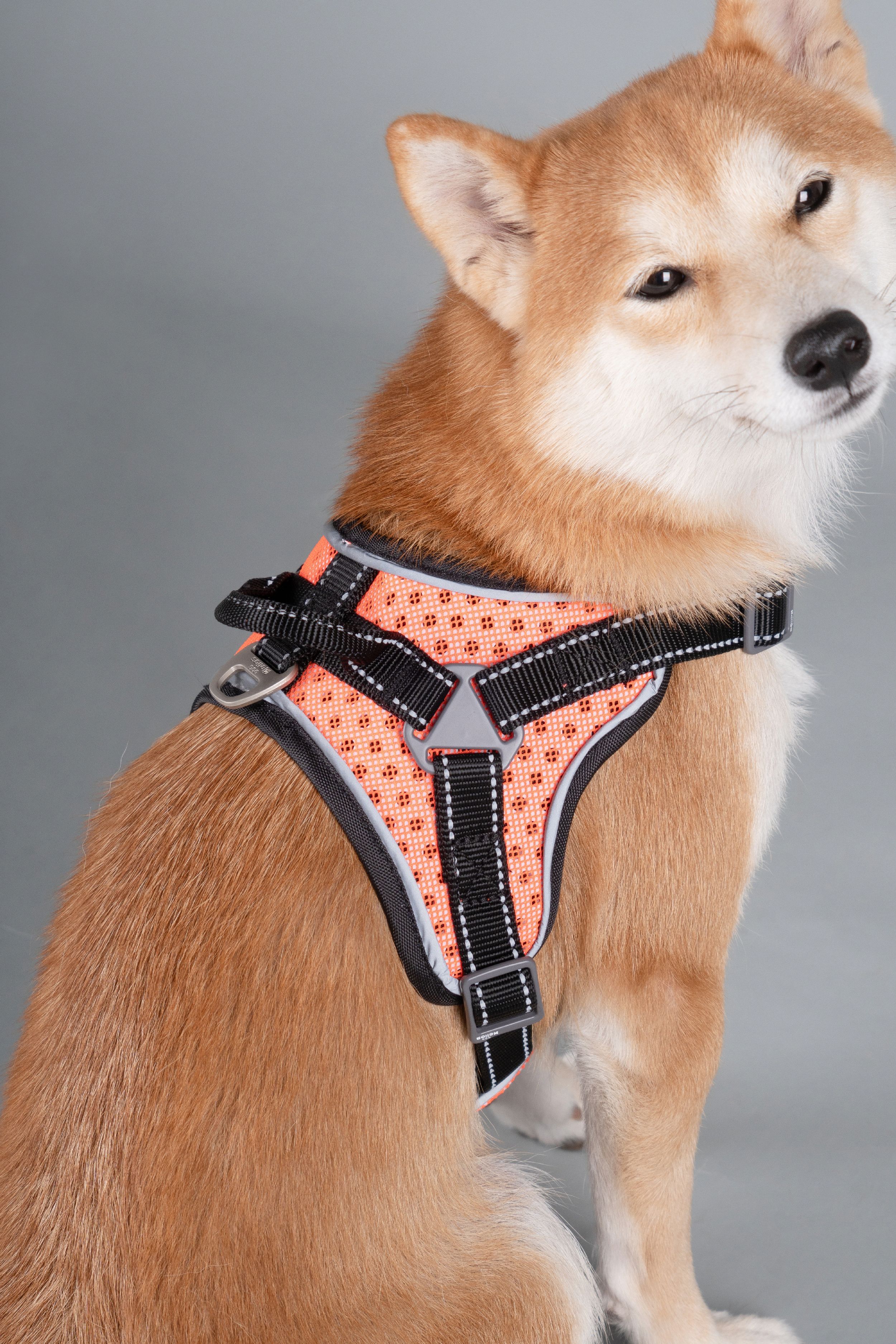 Dog Helios Scorpion Sporty High-Performance Free-Range Dog Harness