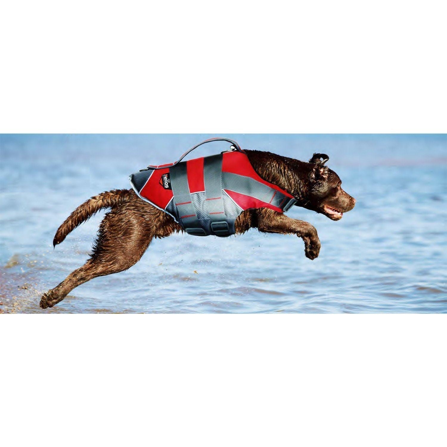Dog Helios Splash-Explore Reflective and Adjustable Floating Safety Dog Life Jacket