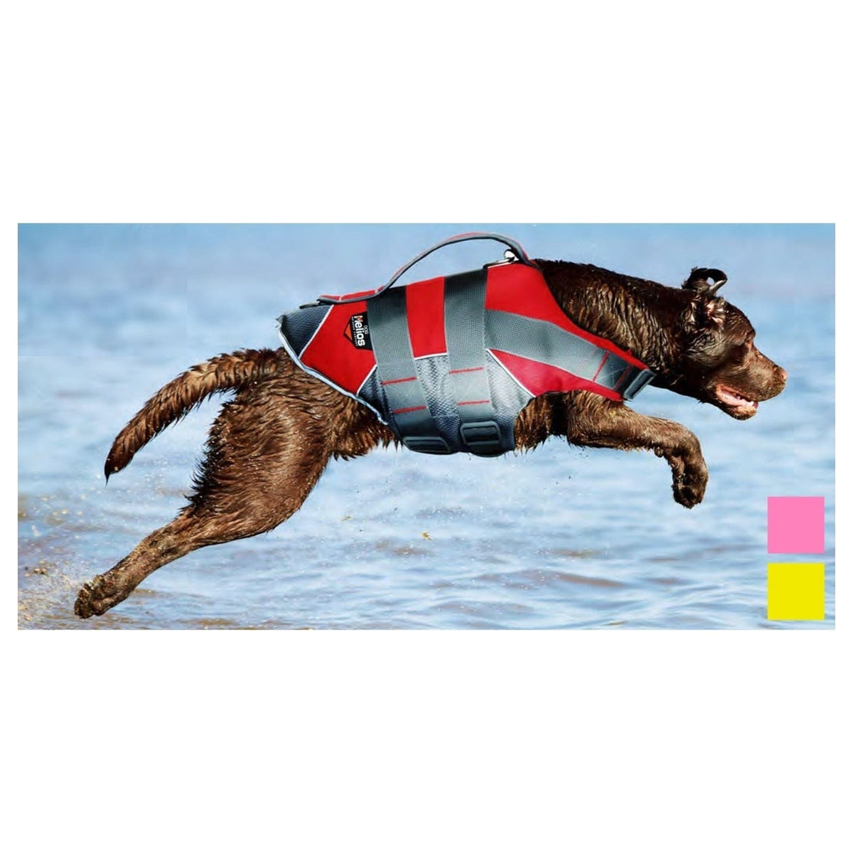 Dog Helios Splash-Explore Reflective and Adjustable Floating Safety Dog Life Jacket | HT Animal Supply