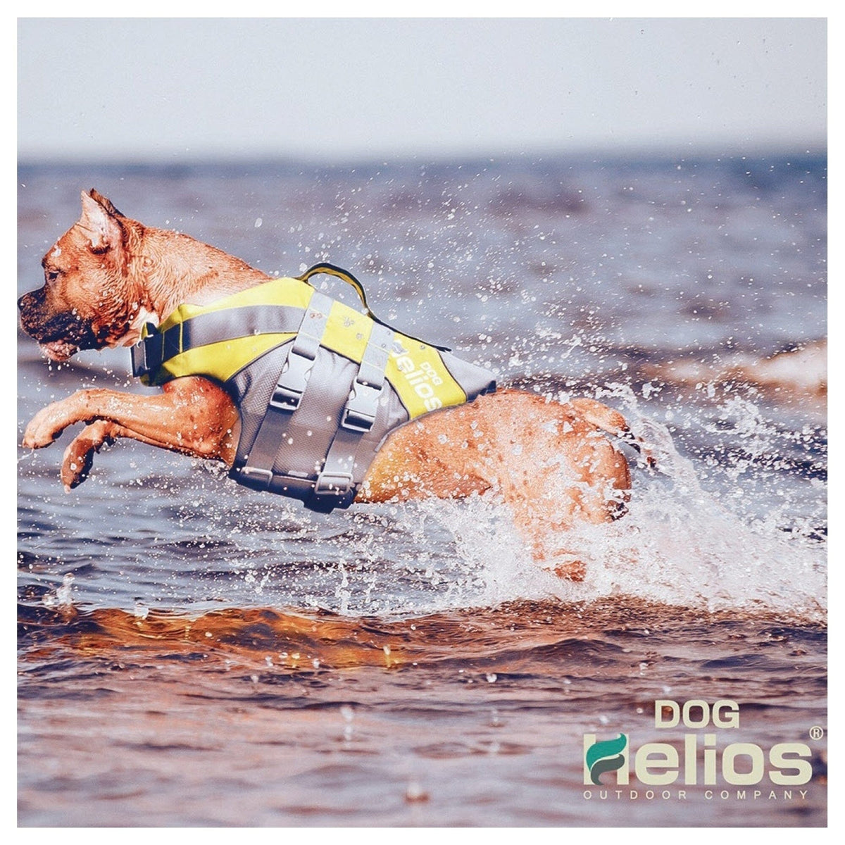 Dog Helios Splash-Explore Reflective and Adjustable Floating Safety Dog Life Jacket | HT Animal Supply
