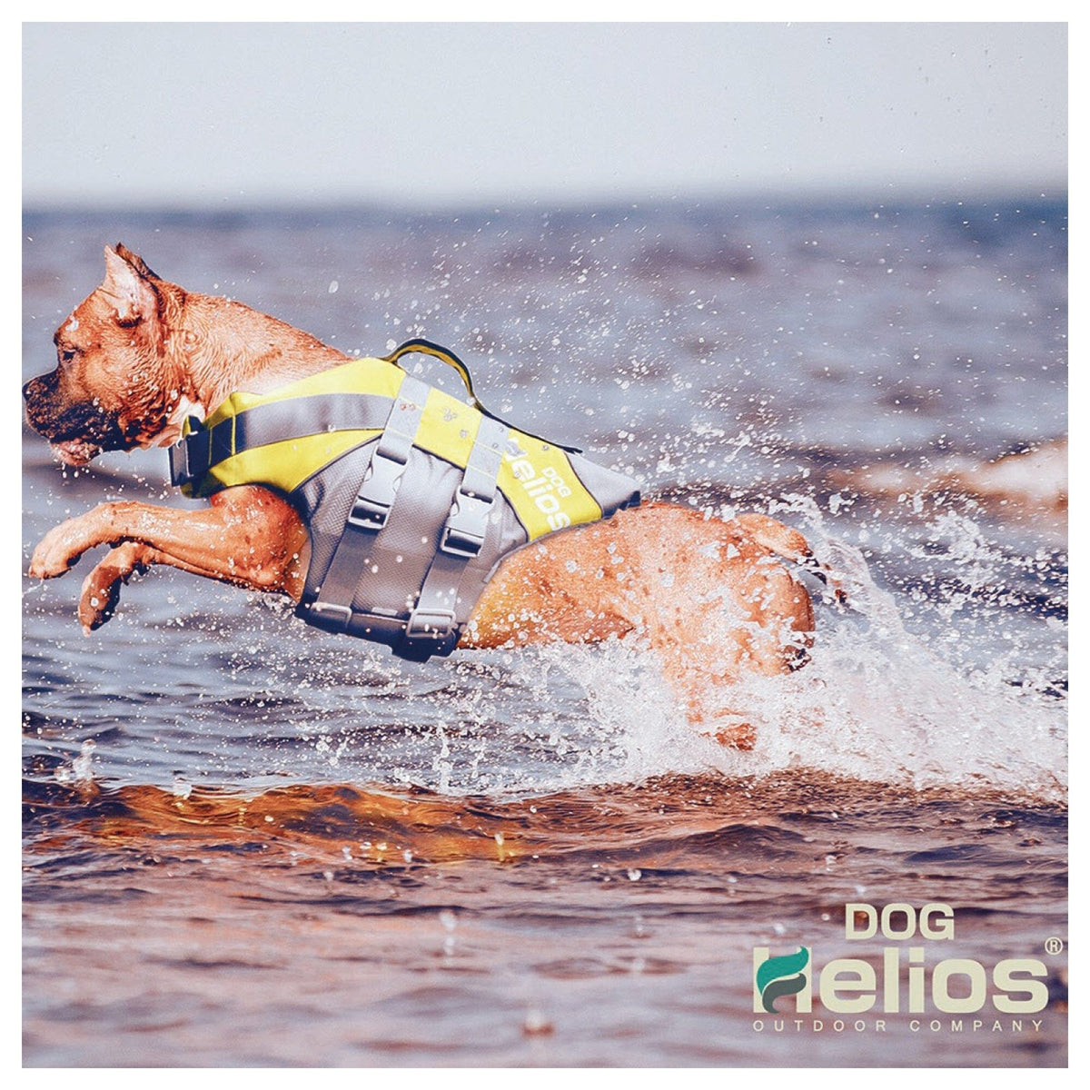 Dog Helios Splash-Explore Reflective and Adjustable Floating Safety Dog Life Jacket | HT Animal Supply