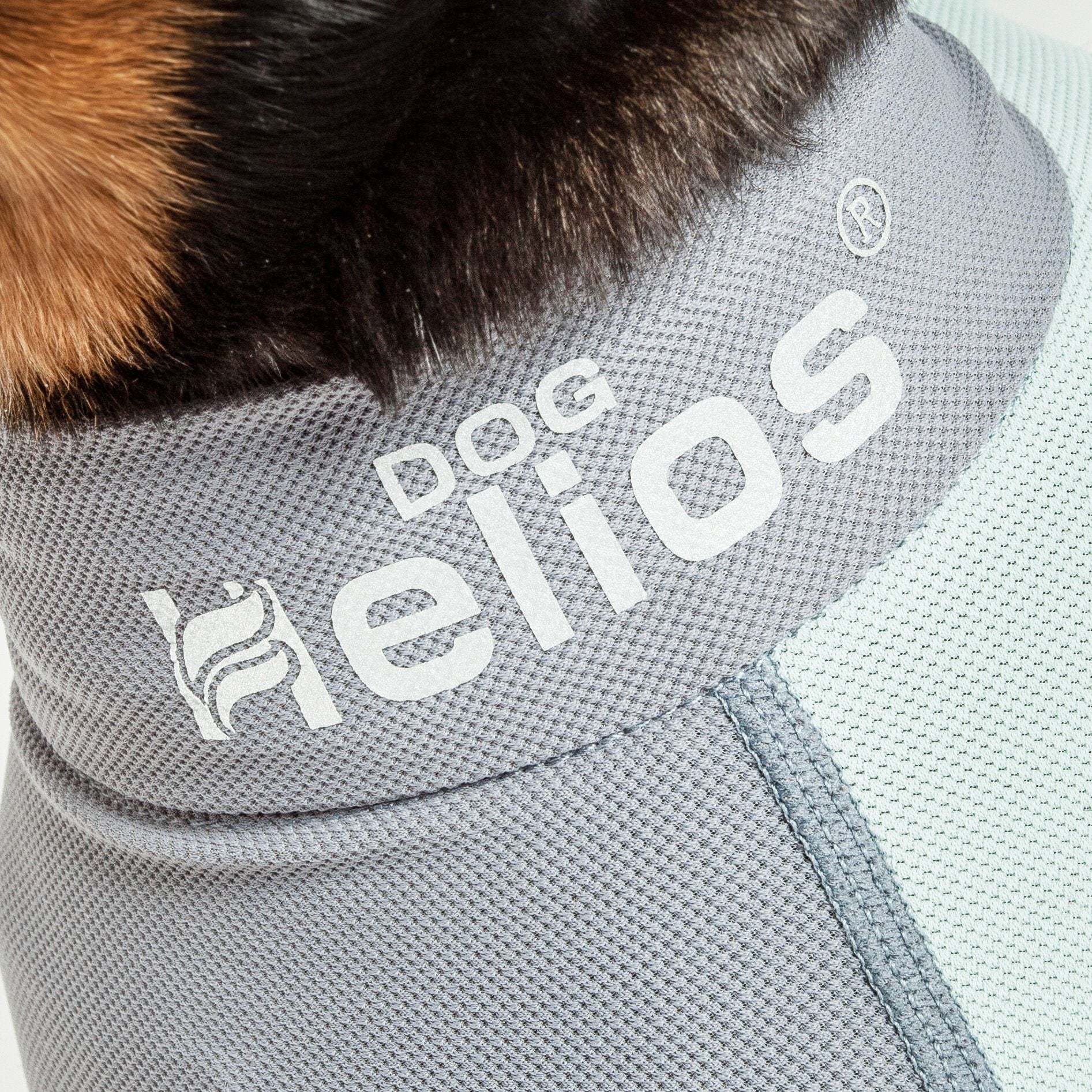 Dog Helios ® Tail Runner Lightweight 4-Way-Stretch Breathable Yoga Dog Tracksuit