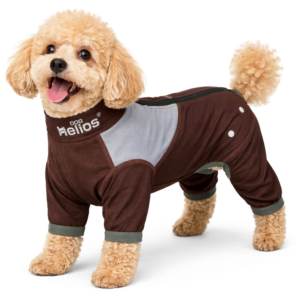 Dog Helios Tail Runner Lightweight 4-Way-Stretch Breathable Yoga Dog Tracksuit | HT Animal Supply