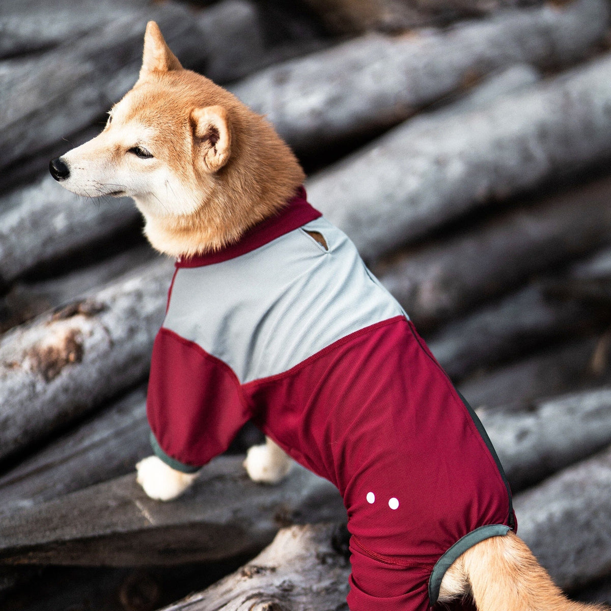 Dog Helios Tail Runner Lightweight 4-Way-Stretch Breathable Yoga Dog Tracksuit | HT Animal Supply