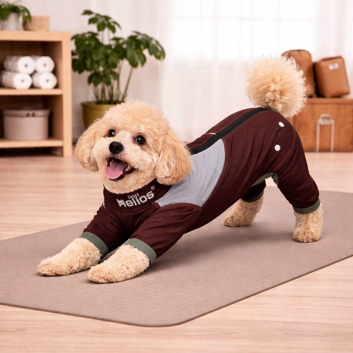 Dog Helios Tail Runner Lightweight 4-Way-Stretch Breathable Yoga Dog Tracksuit | HT Animal Supply