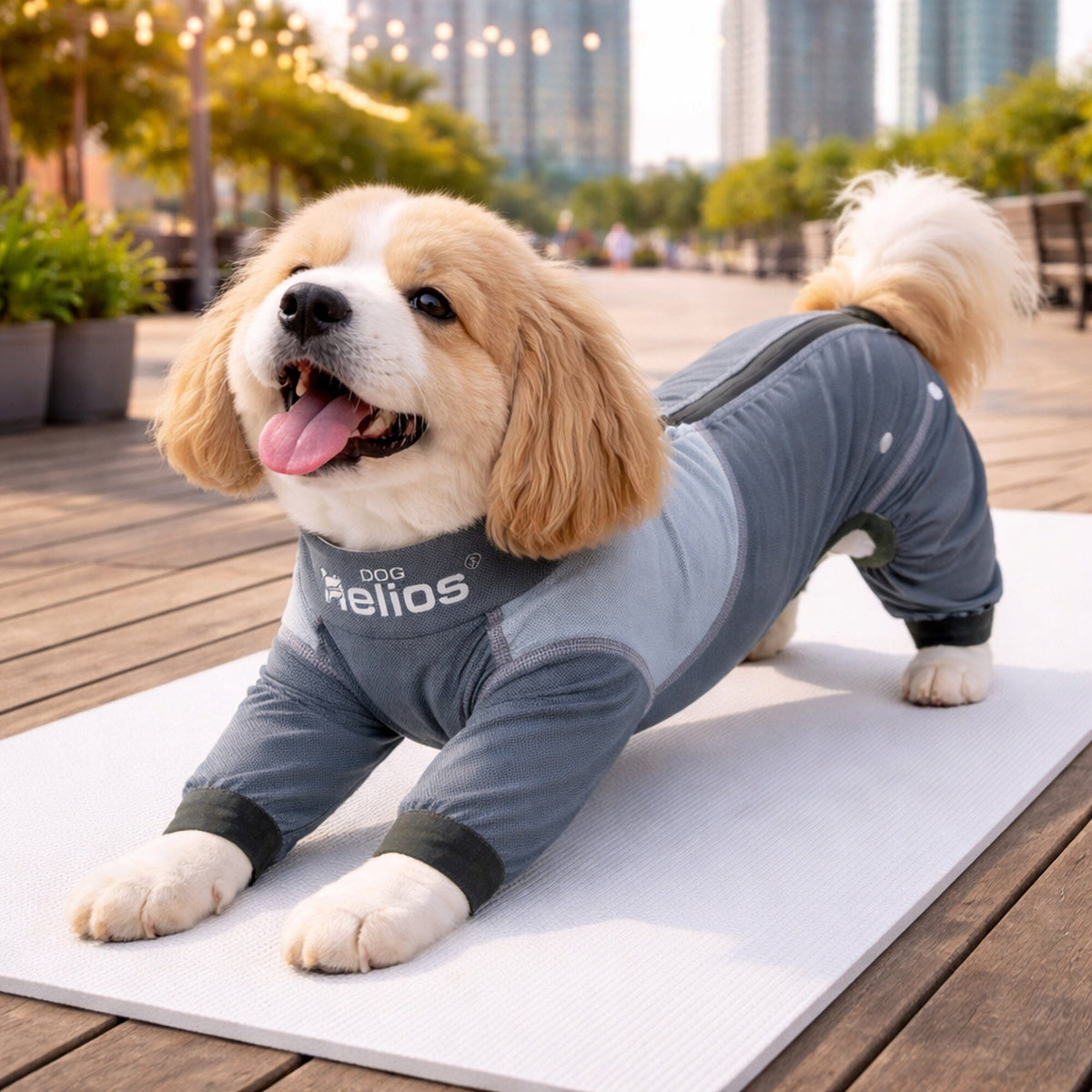 Dog Helios Tail Runner Lightweight 4-Way-Stretch Breathable Yoga Dog Tracksuit | HT Animal Supply