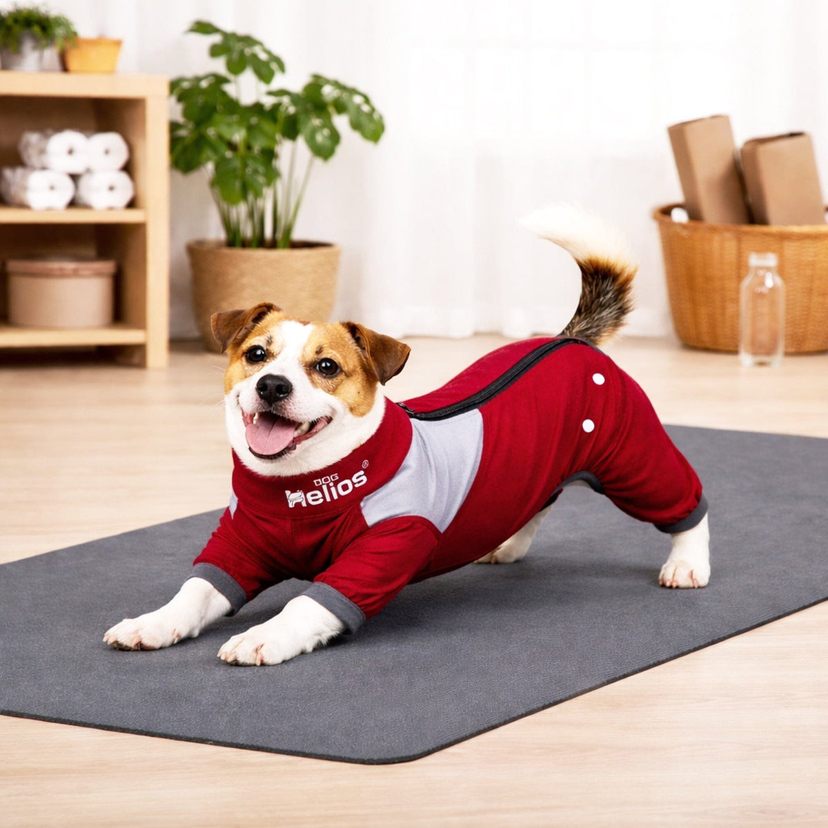 Dog Helios Tail Runner Lightweight 4-Way-Stretch Breathable Yoga Dog Tracksuit | HT Animal Supply