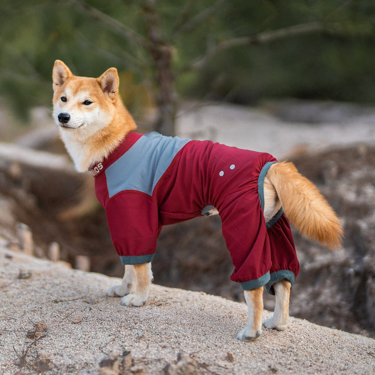 Dog Helios Tail Runner Lightweight 4-Way-Stretch Breathable Yoga Dog Tracksuit | HT Animal Supply