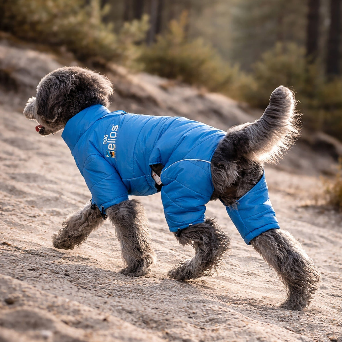 Dog Helios Thunder-crackle Adjustable and Reflective Full-Body Waded Winter Dog Jacket | HT Animal Supply