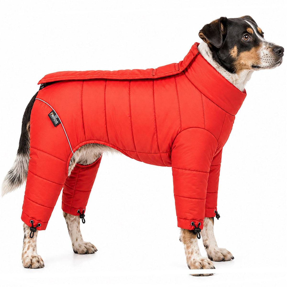 Dog Helios Thunder-crackle Adjustable and Reflective Full-Body Waded Winter Dog Jacket | HT Animal Supply