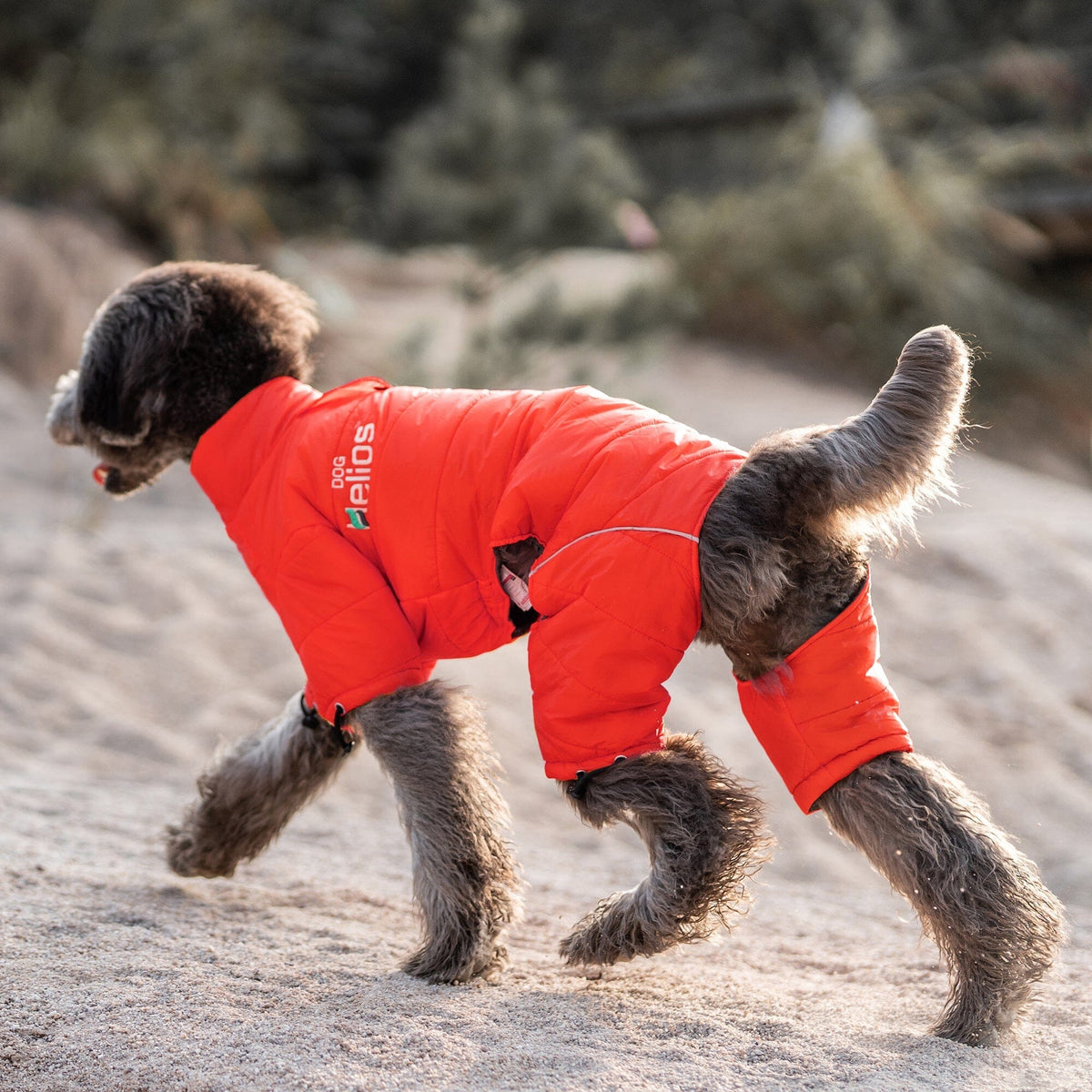 Dog Helios Thunder-crackle Adjustable and Reflective Full-Body Waded Winter Dog Jacket | HT Animal Supply