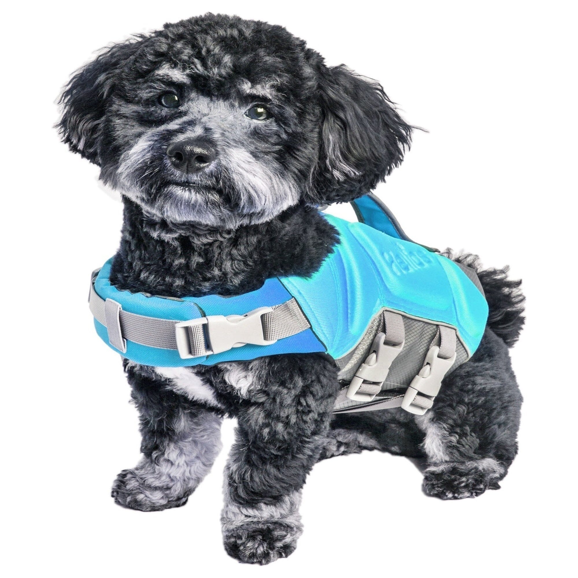 Dog Helios Tidal Guard Multi-Point Strategically-Stitched Reflective Pet Dog Life Jacket Vest | HT Animal Supply