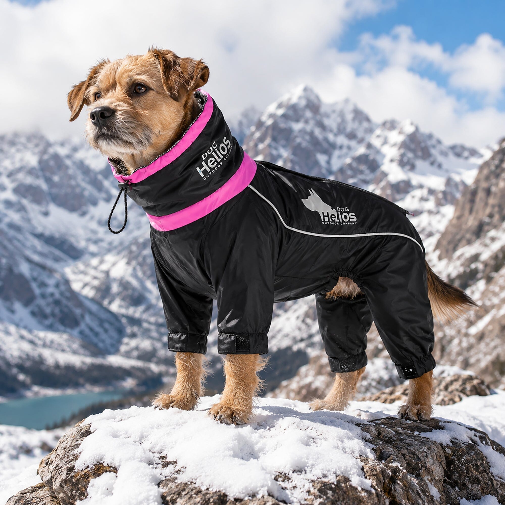 Dog Helios Weather-King Ultimate Windproof Full Body Winter Dog Jacket | HT Animal Supply