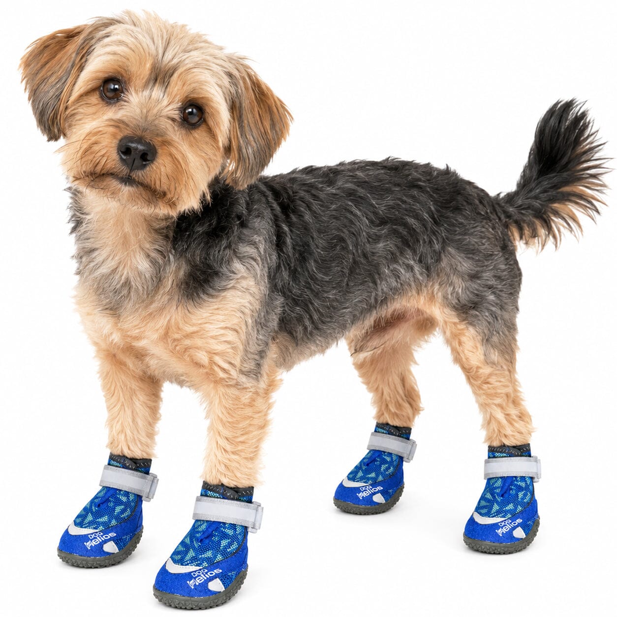 Dog Helios Surface Premium Grip Performance Dog Shoes - Set Of 4 | HT Animal Supply