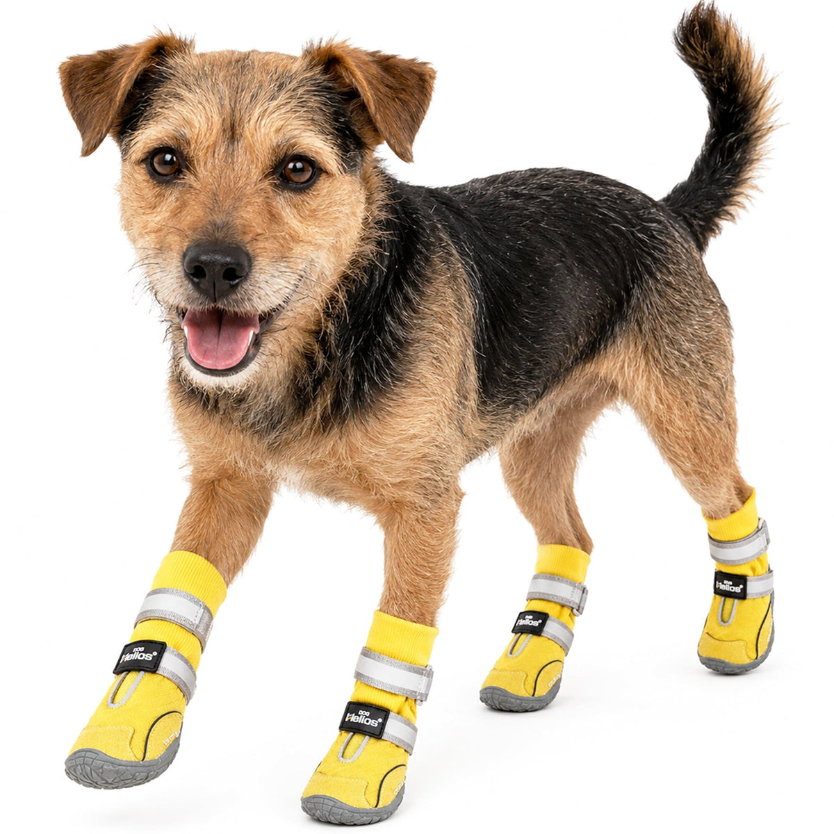 Dog Helios Traverse Premium Grip High-Ankle Outdoor Dog Boots - Set Of 4 | HT Animal Supply
