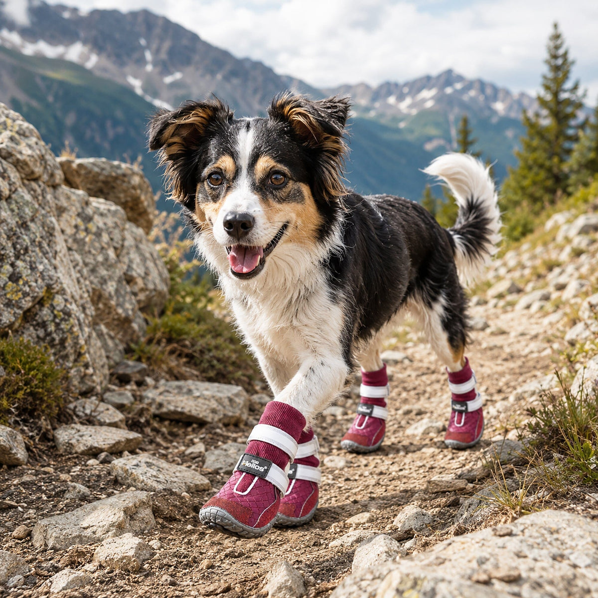 Dog Helios Traverse Premium Grip High-Ankle Outdoor Dog Boots - Set Of 4 | HT Animal Supply