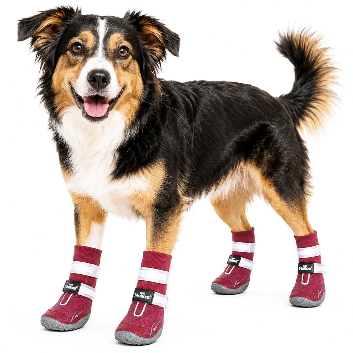 Dog Helios Traverse Premium Grip High-Ankle Outdoor Dog Boots - Set Of 4 | HT Animal Supply