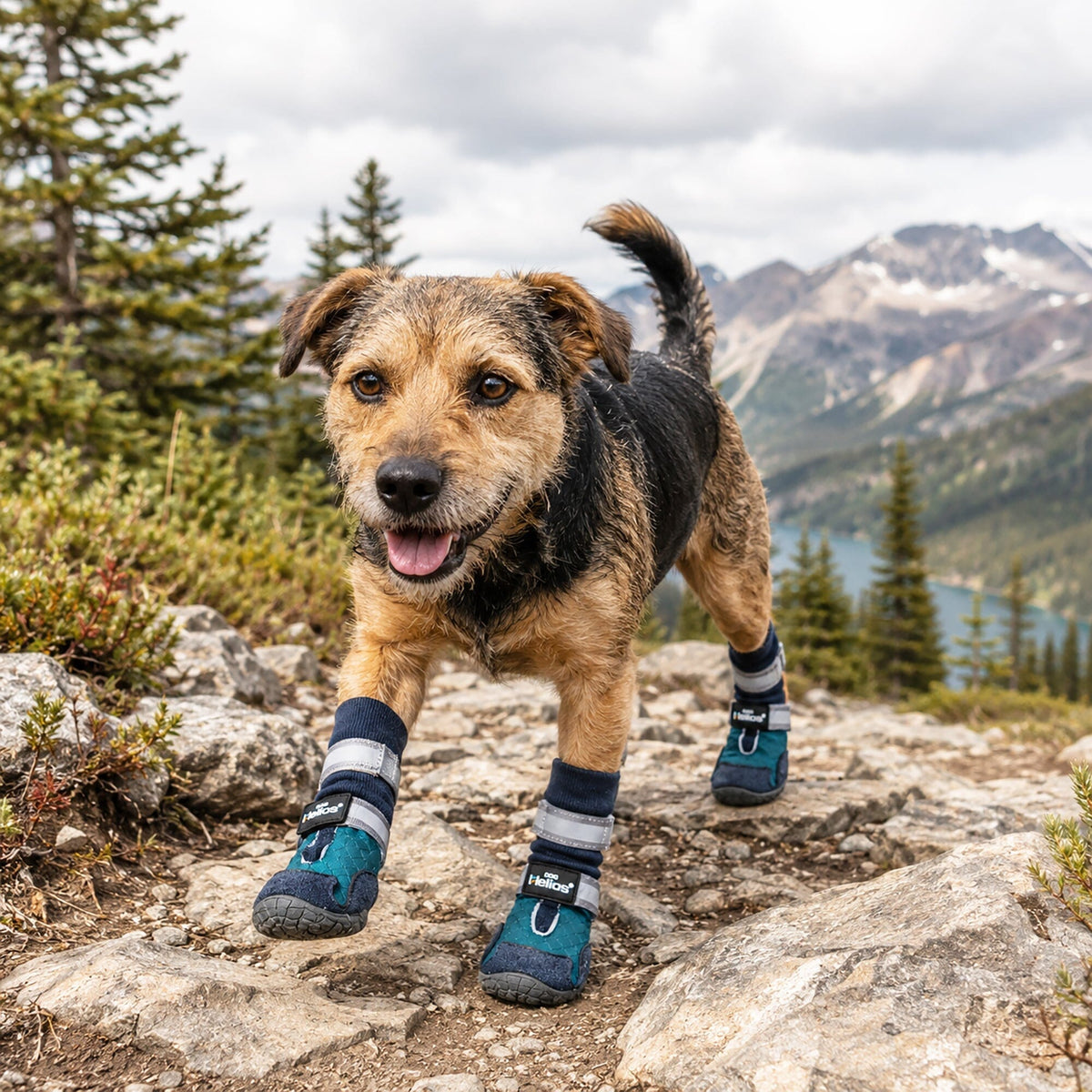 Dog Helios Traverse Premium Grip High-Ankle Outdoor Dog Boots - Set Of 4 | HT Animal Supply