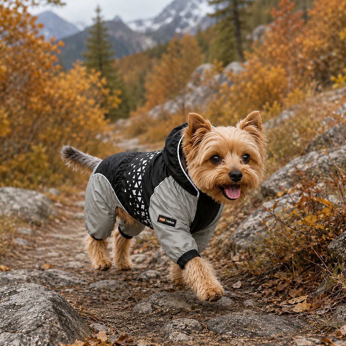Dog Helios Vortex Full Bodied Waterproof Windbreaker Dog Jacket | HT Animal Supply