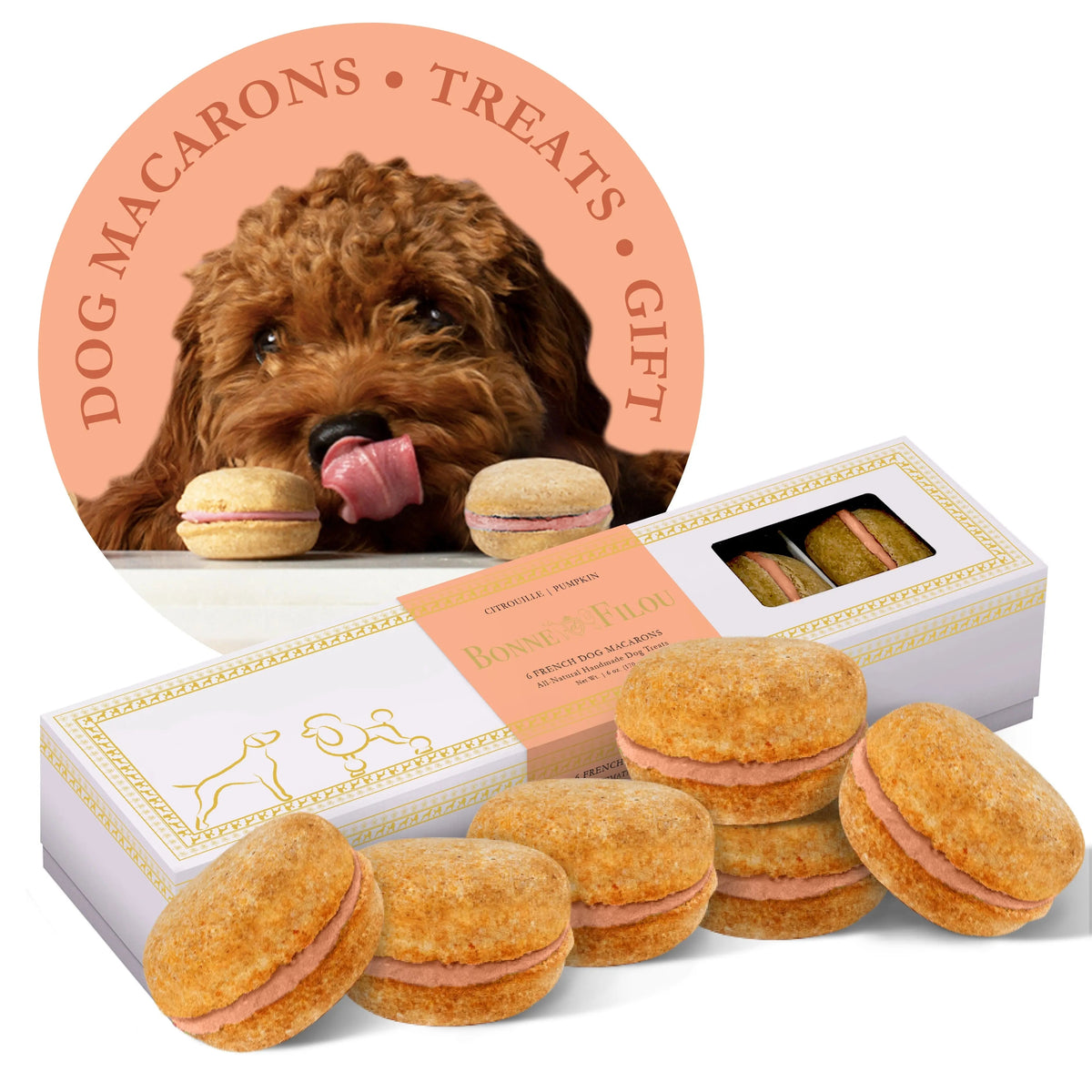Dog Macarons (Box of 6) 
