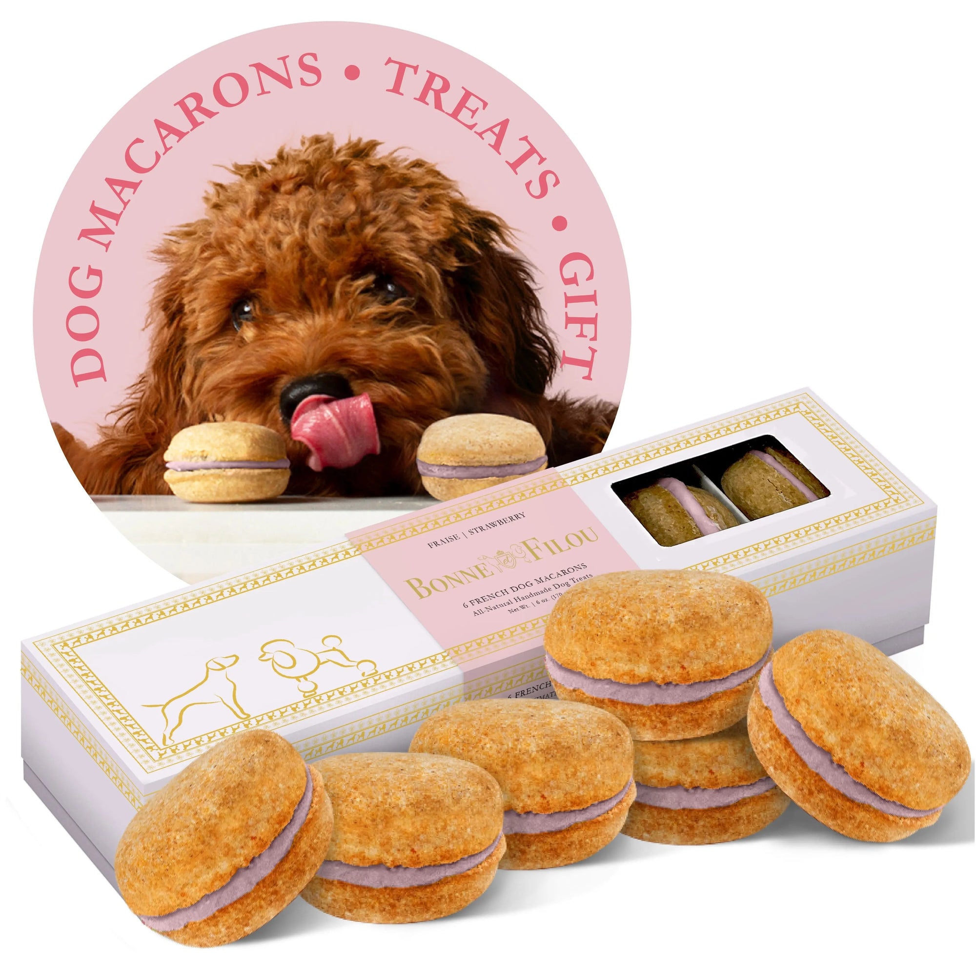 Dog Macarons (Box of 6) 