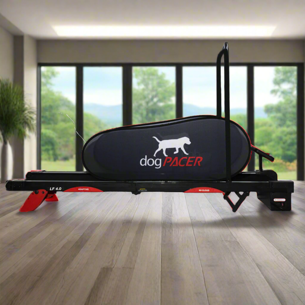 dogPACER 4.0 – Bluetooth Edition