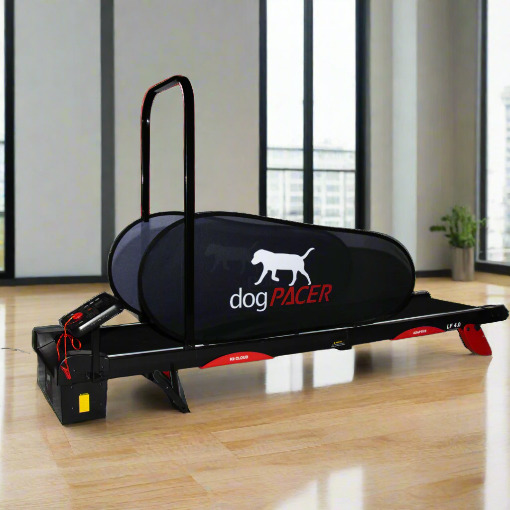 dogPACER 4.0 – Bluetooth Edition