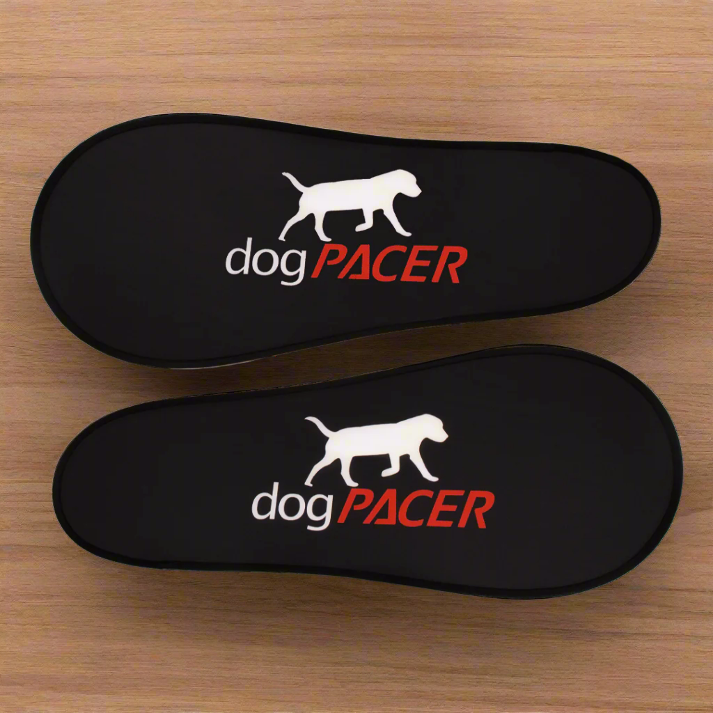 dogPACER 4.0 – Bluetooth Edition