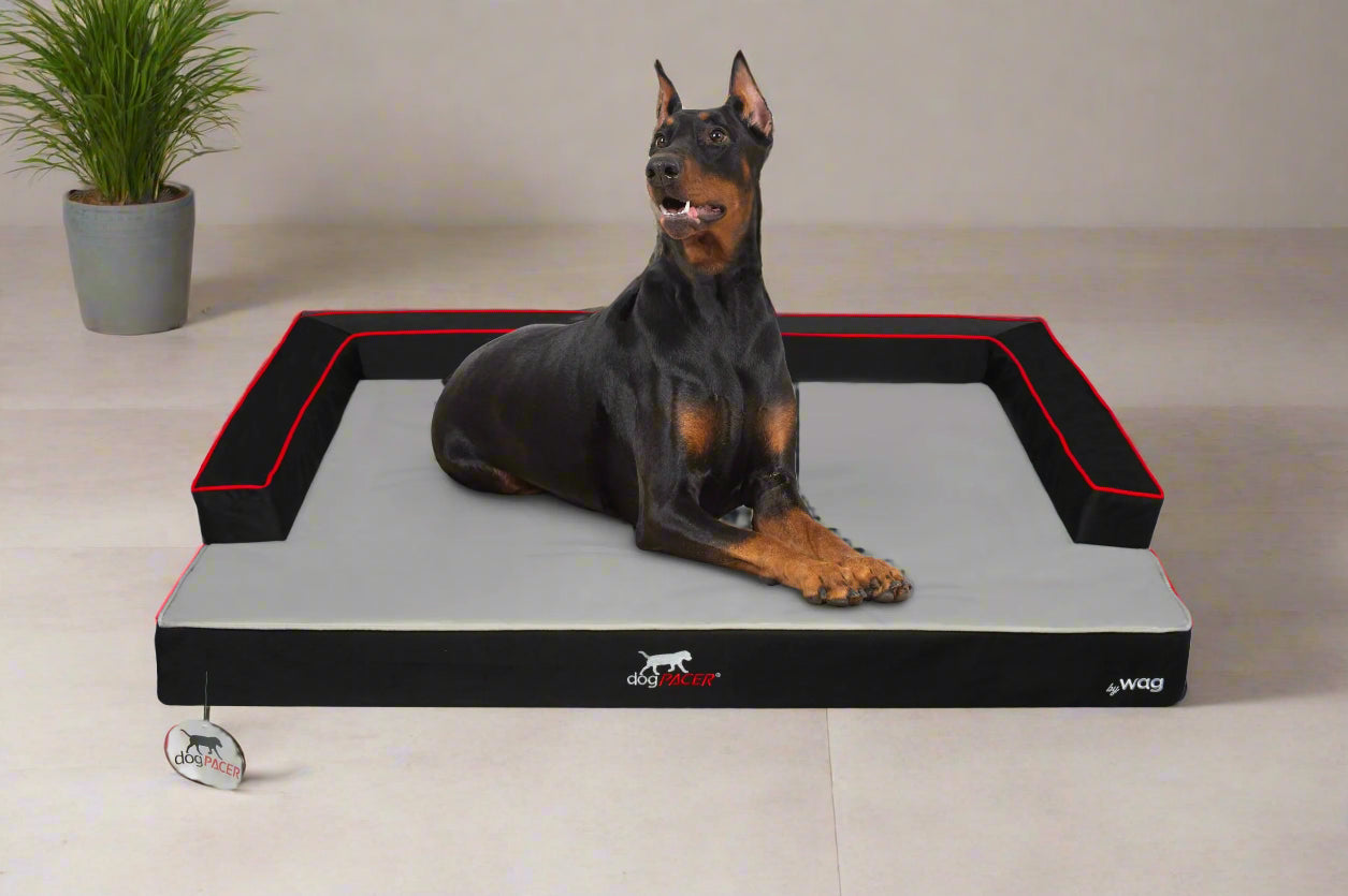 DogPACER Dog Bed