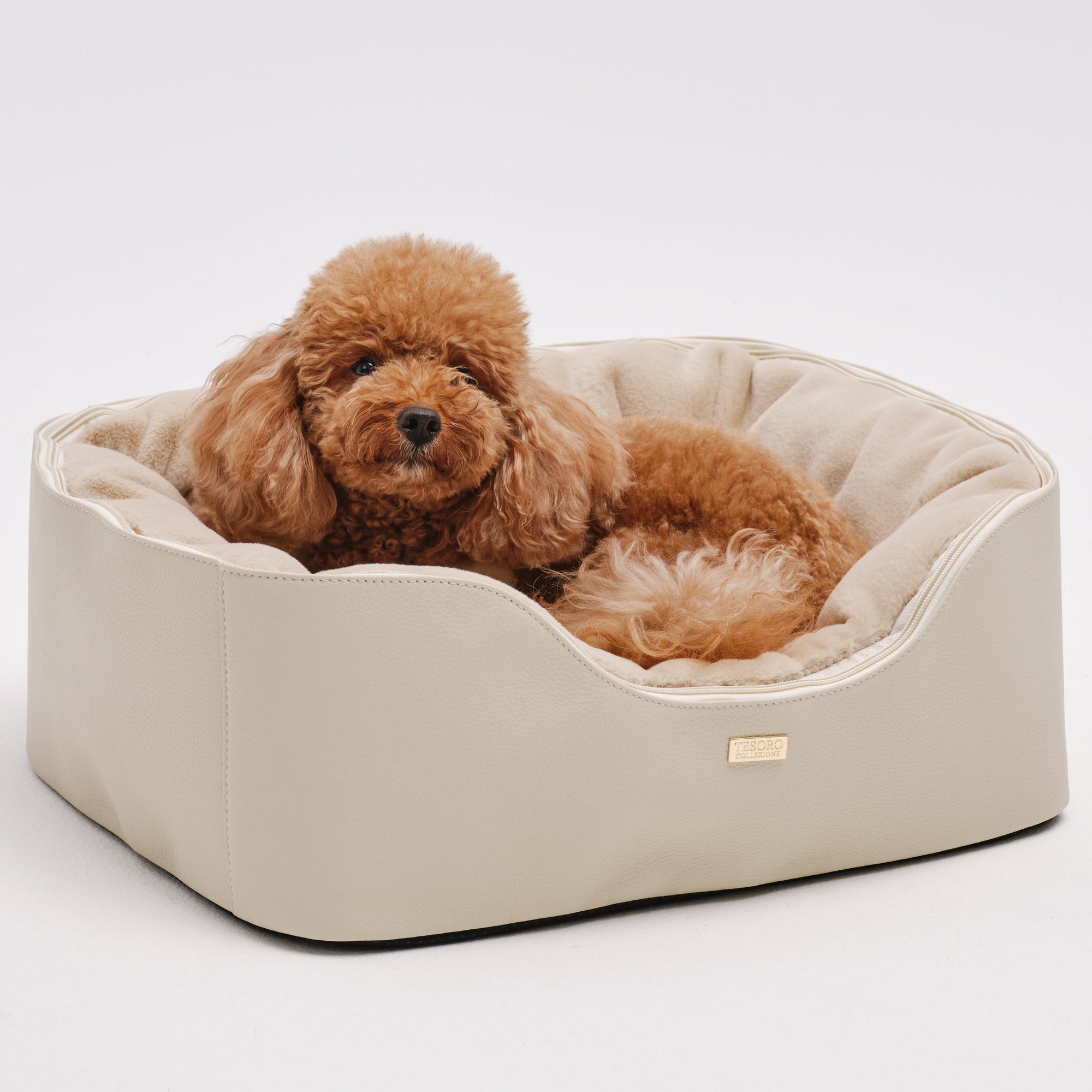 Pet Bed