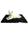 Blanket, Bella Black