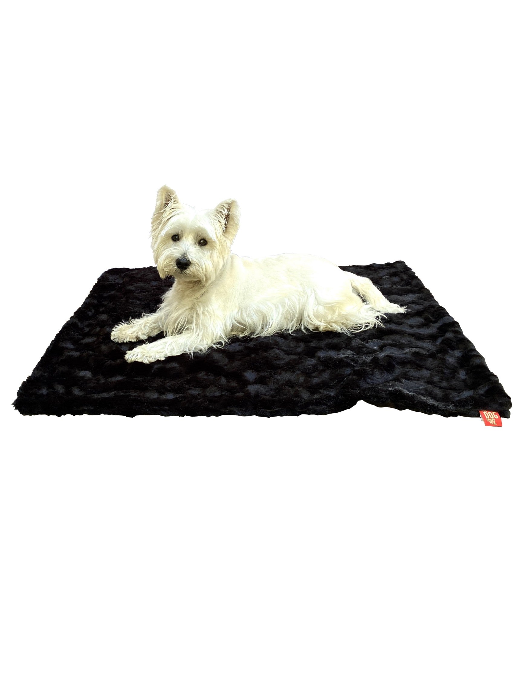 Blanket, Bella Black