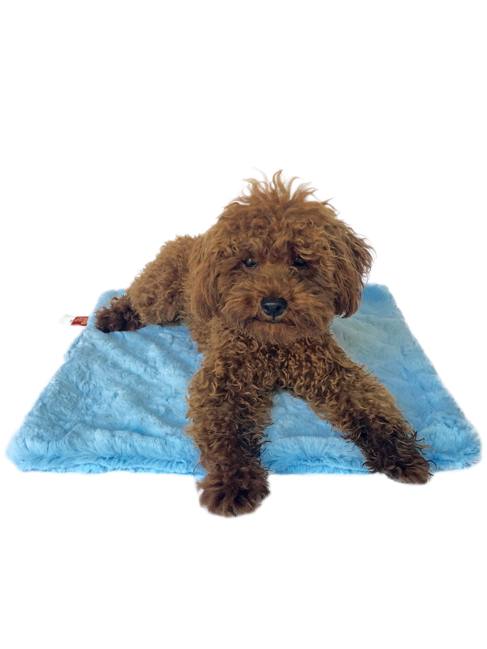 Blanket, Bella Light Blue