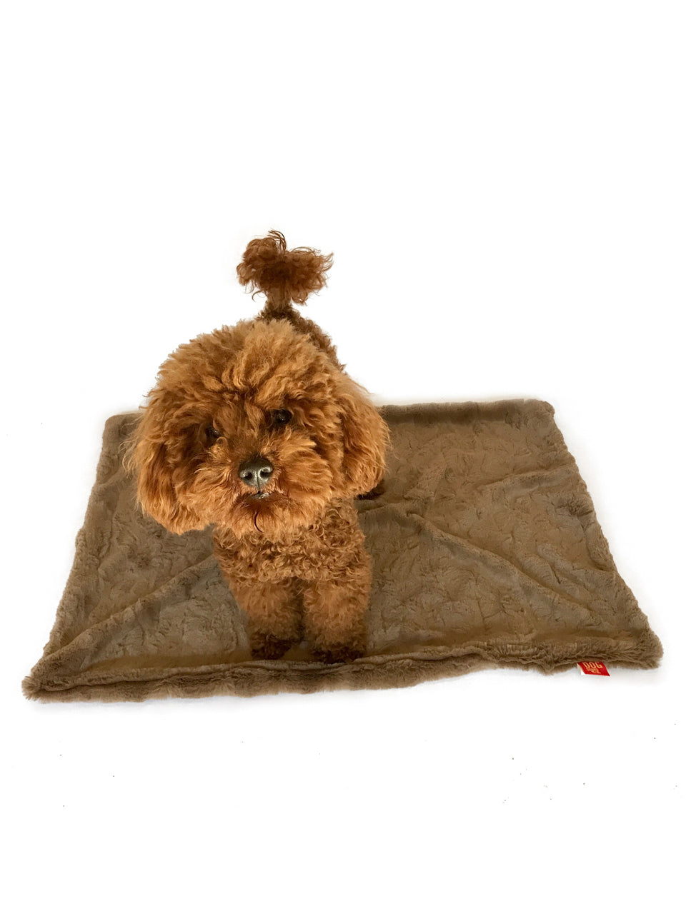 Blanket, Bella Mocha