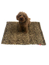 Blanket, Cheetah