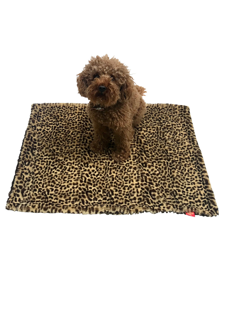 Blanket, Cheetah