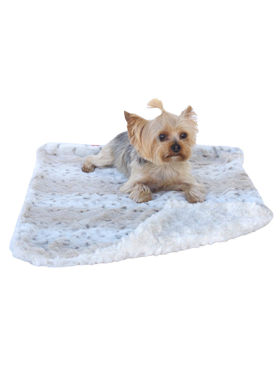 Blanket, Frosted Sno Leopard