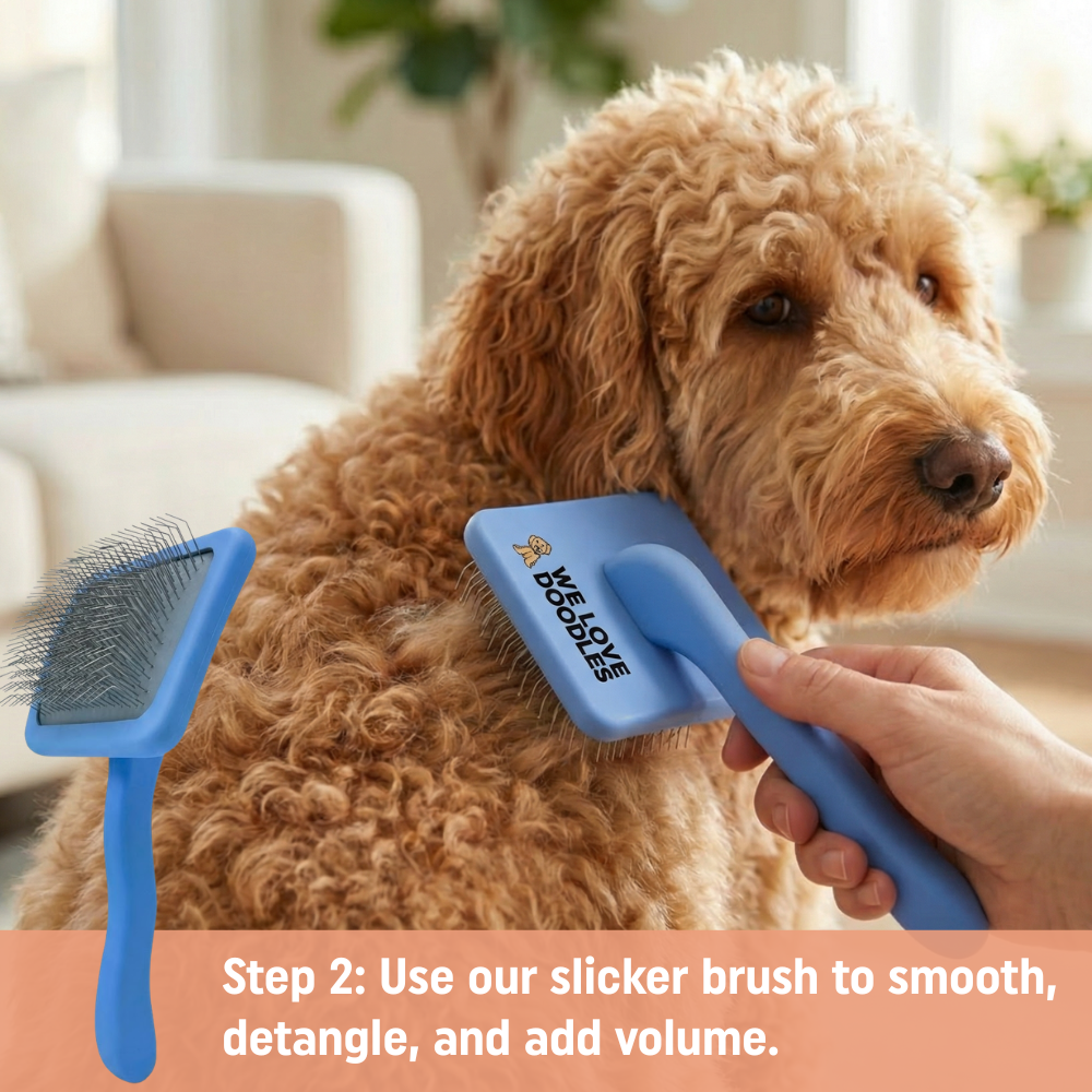 Unscented Grooming Starter Pack (Brush, Combs & Detangler)