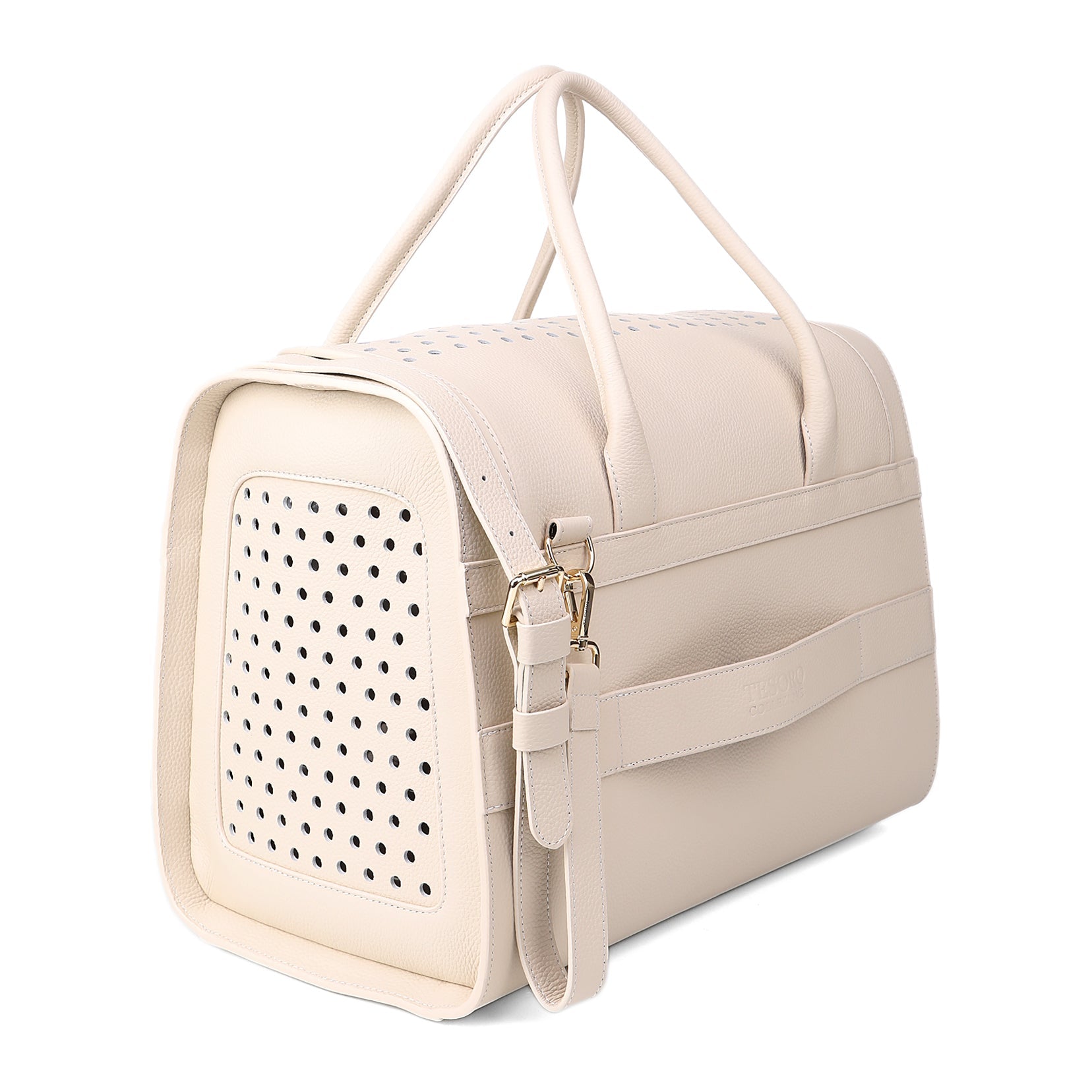 Travel Pet Carrier
