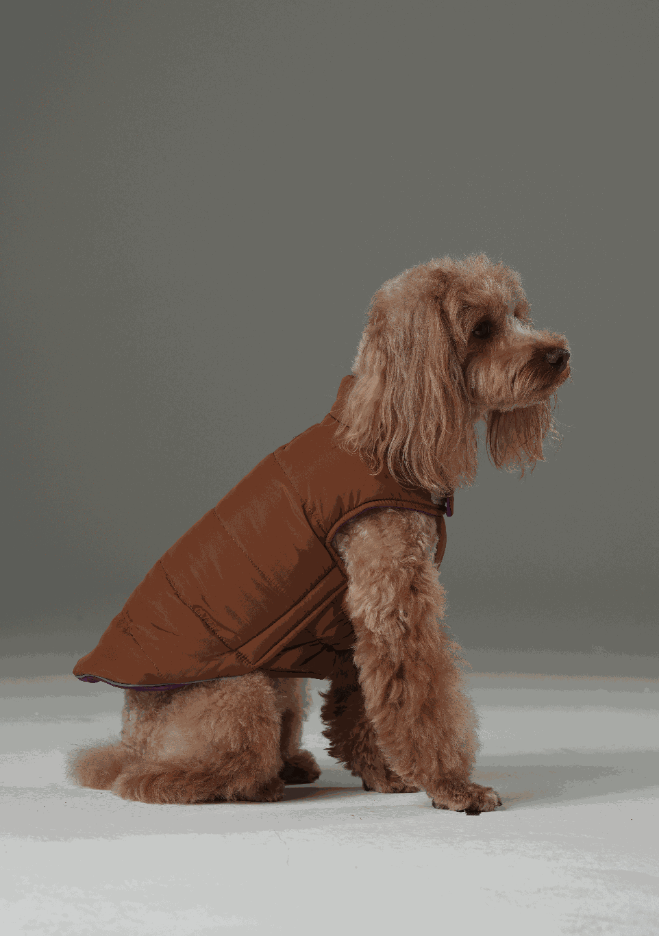 Reversible Dog Vest Jacket-Purple Caramel