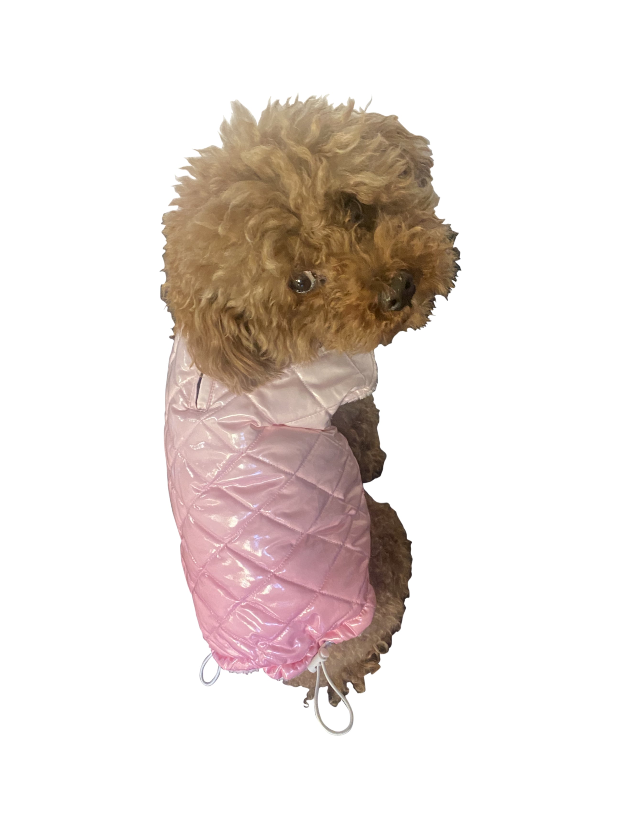 Coco Puffer, Ombred Baby Pink