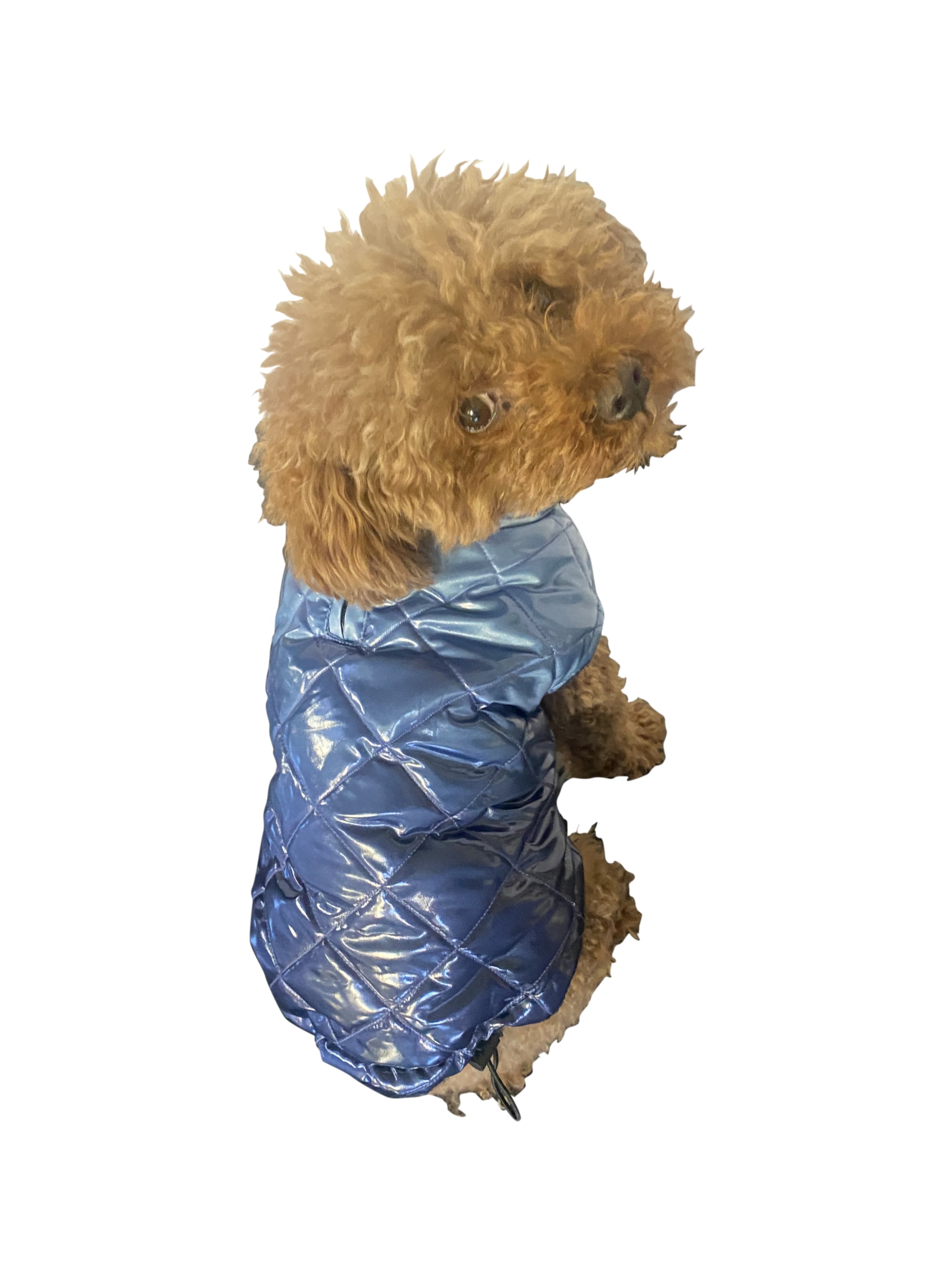 Coco Puffer, Ombred Navy