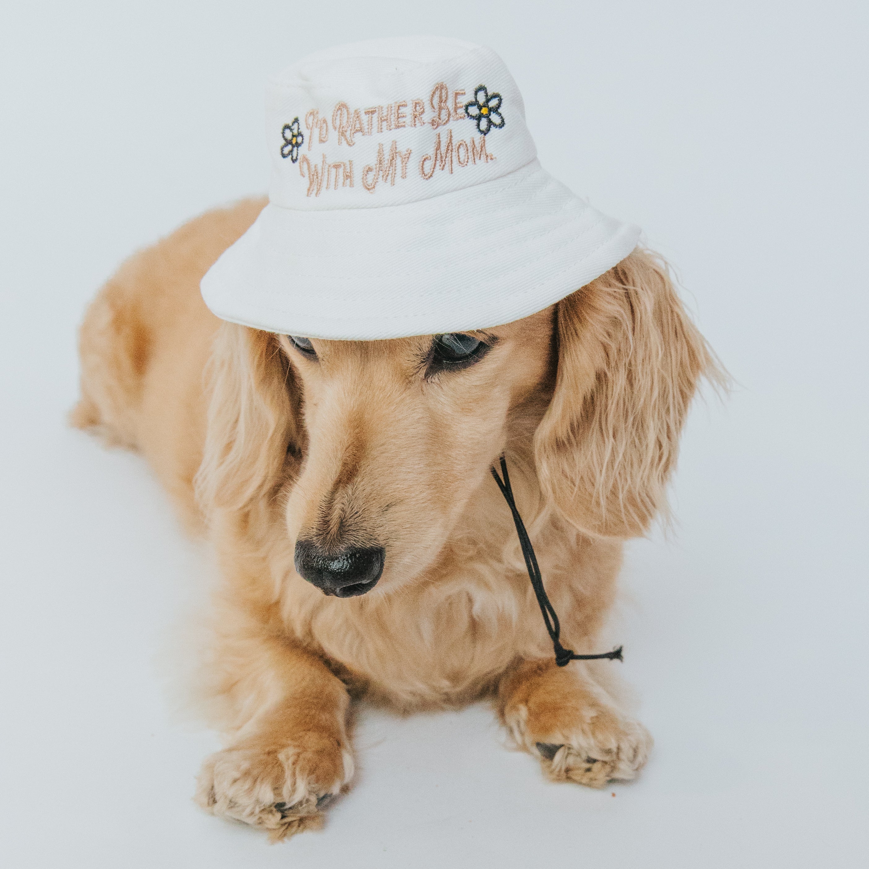 Dog Bucket Hat - Id Rather Be With My Mom